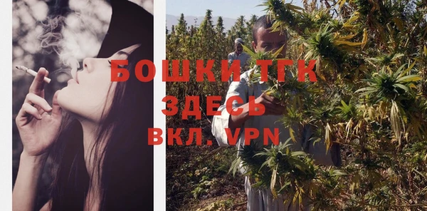 дживик Баксан