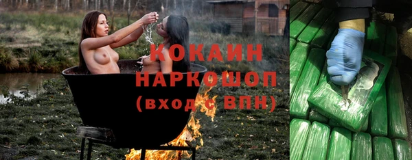 дживик Баксан